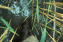 #6: Feet in water