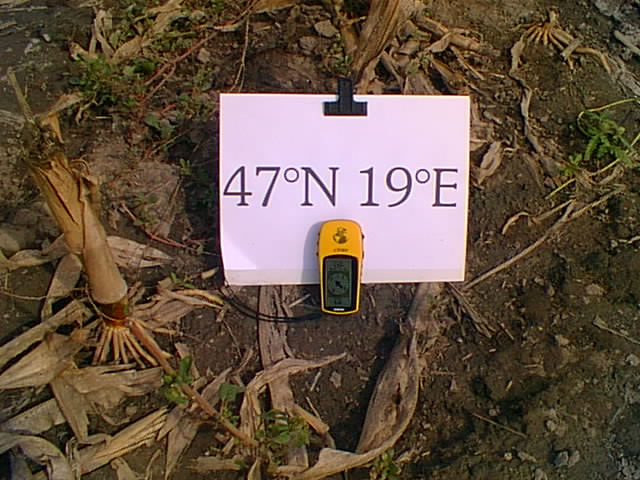 Ground surface at the confluence