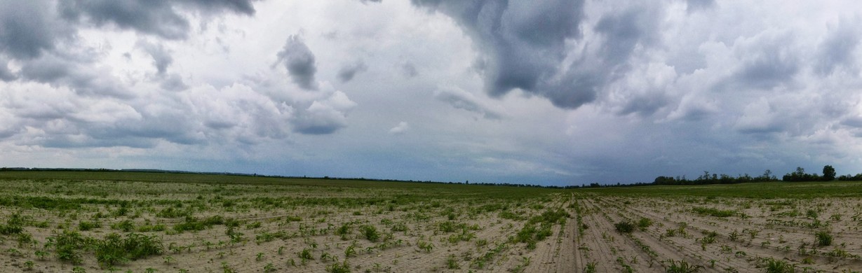 Panoramic view from the point