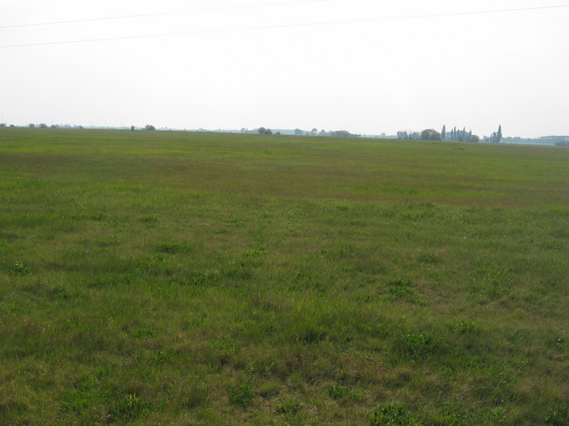 View to the East