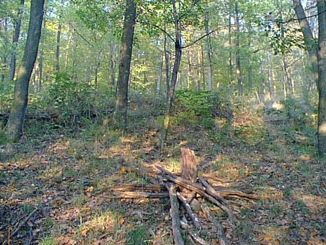 View to the North-East
