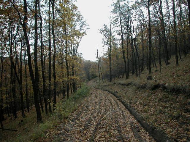 The path to the confluence point / Der Weg zum Confluence Punkt