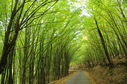 #10: The beautiful road leading to the confluence area