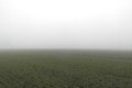 Visit #3: [26-Dec-16]