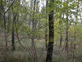 #3: South