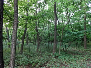 #1: North view