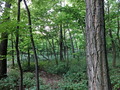 #4: North-West view