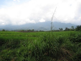 #1: General view of the area 3 km away from the point