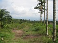 #5: View South