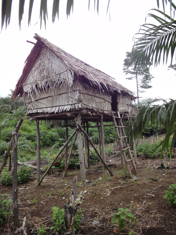 traditional hut in the hills above the confluence 
