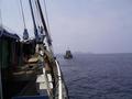 #4: The tugboat from Sorong towing us to the confluence point