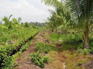 #1: The Path to the confluence, only 3KM away