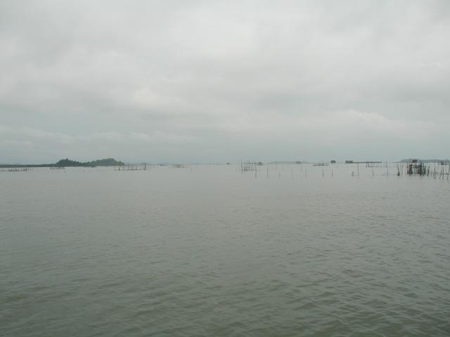 Looking east from the confluence