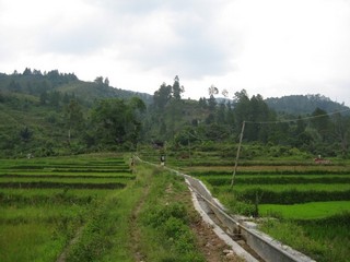 #1: General view of the area