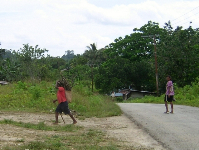 On the Main North-South-Road (5 km from the Confluence)