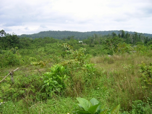 General View of the Confluence-Area (5 km away)