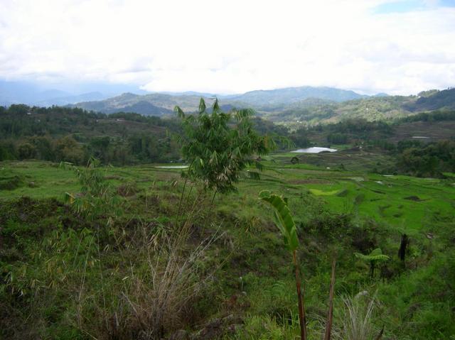 Looking North from the Confluence Point