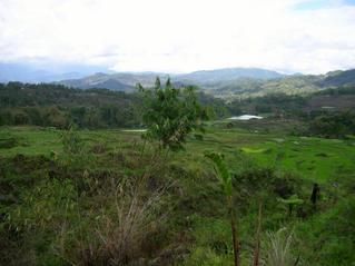 #1: Looking North from the Confluence Point