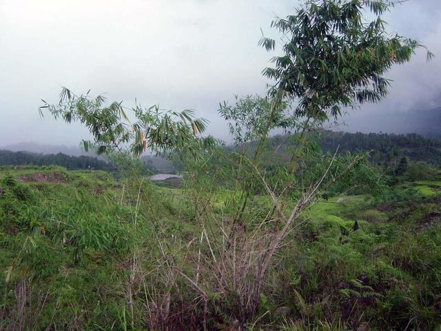 View of the confluence from the south