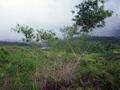 #5: View of the confluence from the south