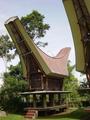 #9: Toraja architecture rice barn near confluence