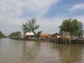 #7: The nearby village of Muaragembong