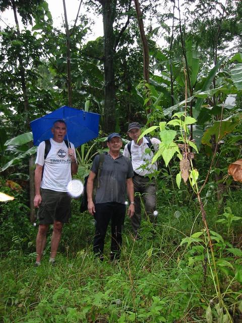 Wet Intrepid Explorers