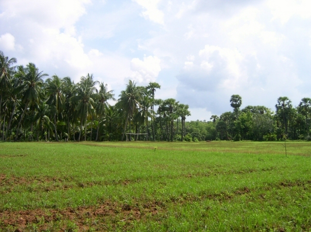 General View of the Confluence