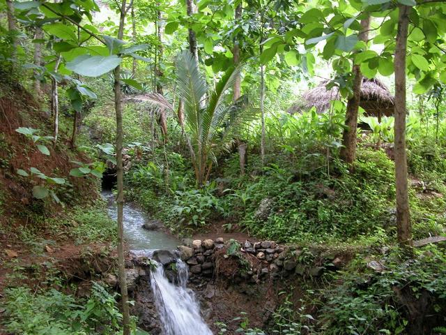 general area of the confluence - a few meters downstream