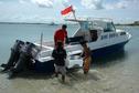 #2: Loading up the sea turtles and ready to go hunting