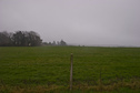 #3: South