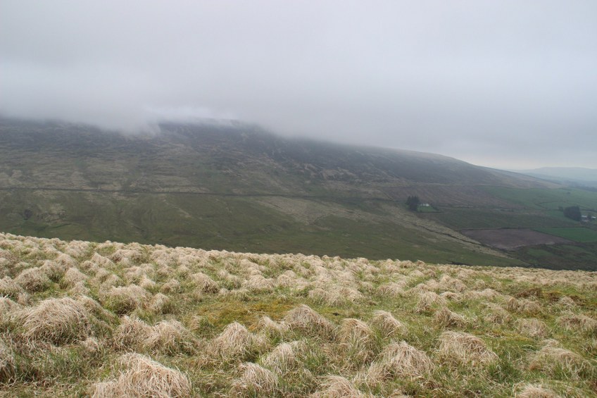 View east from the CP