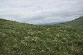 Visit #7: [23-May-24]