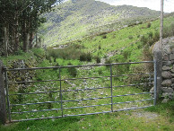 #8: gate towards CP