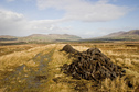 #6: Peat cutting