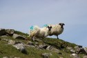 #9: Audience, watching from the north