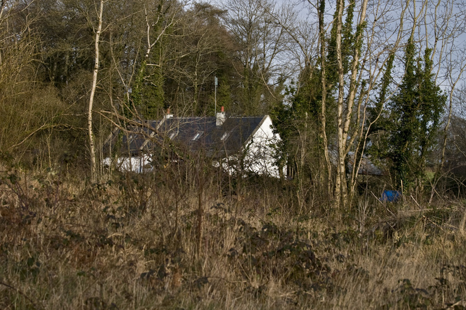 House in the woods