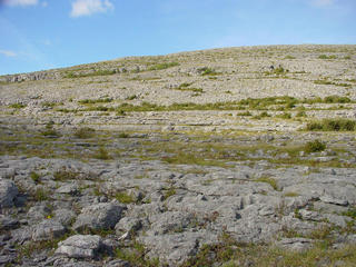 #1: The burren at confluence point