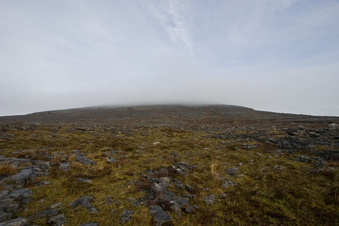 #1: North