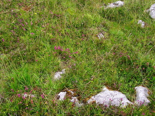 #1: The confluence point, in a grassy area on the edge of "The Burren"