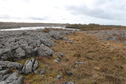 #3: View S