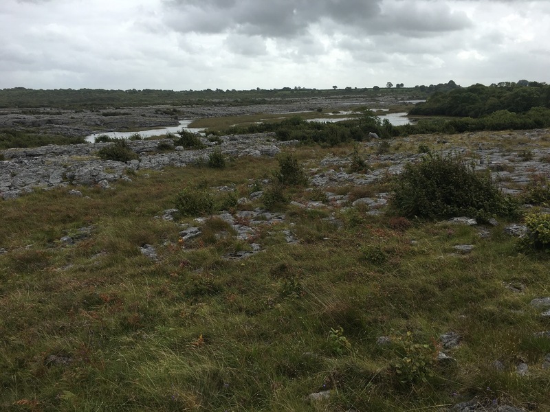 The Confluence from 15 m distance