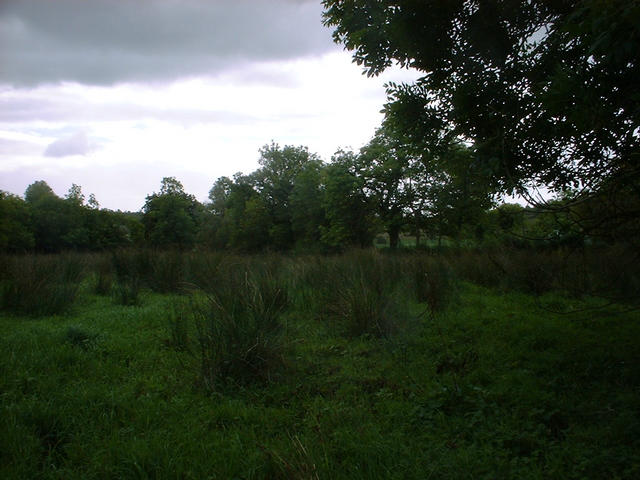 View from the Confluence