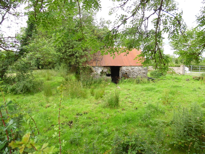 Old barn - NW from point