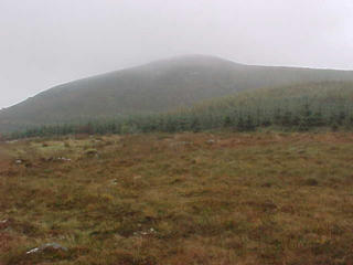 #1: View S of 54N9W