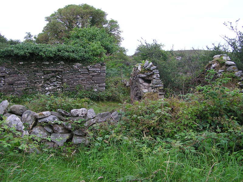 A ruined farm building, south of the confluence point