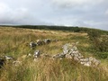 #10: The nearby stone wall