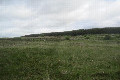 Visit #6: [27-May-24]