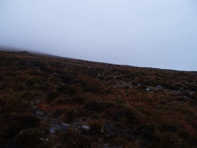 the confluence in the extreme foreground and view north