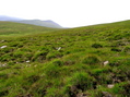 #4: View South